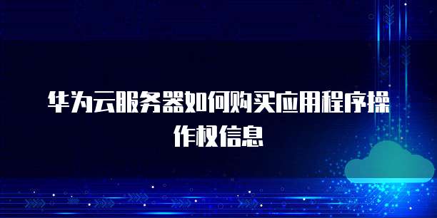 华为云服务器如何购买应用程序操作权信息