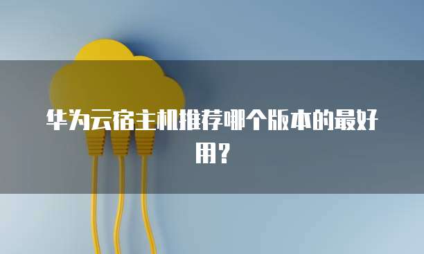 华为云宿主机推荐哪个版本的最好用？