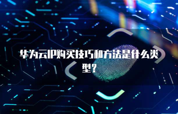 华为云IP购买技巧和方法是什么类型?