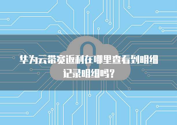 华为云带宽返利在哪里查看到明细记录明细吗?
