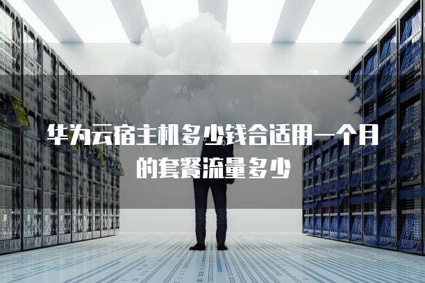 华为云宿主机多少钱合适用一个月的套餐流量多少