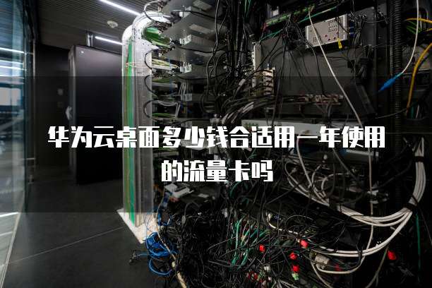 华为云桌面多少钱合适用一年使用的流量卡吗