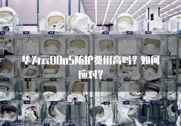 华为云DDoS防护费用高吗?如何应对?