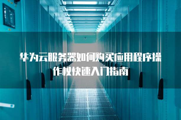 华为云服务器如何购买应用程序操作权快速入门指南