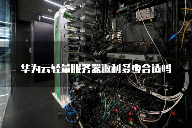 华为云轻量服务器返利多少合适吗