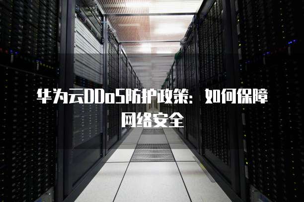 华为云DDoS防护政策：如何保障网络安全