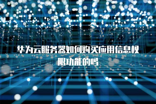 华为云服务器如何购买应用信息权限功能的吗