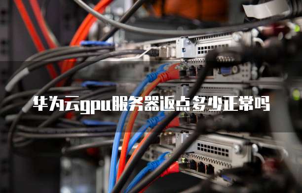华为云gpu服务器返点多少正常吗