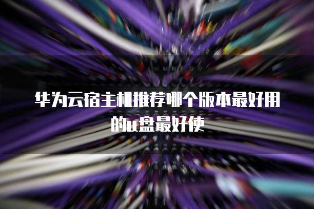 华为云宿主机推荐哪个版本最好用的u盘最好使