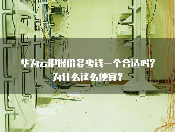华为云IP报价多少钱一个合适吗?为什么这么便宜?