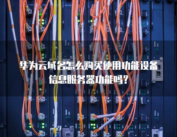 华为云域名怎么购买使用功能设备信息服务器功能吗?