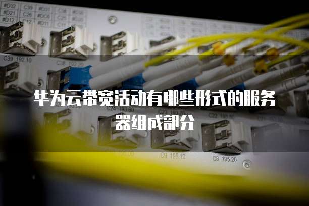 华为云带宽活动有哪些形式的服务器组成部分