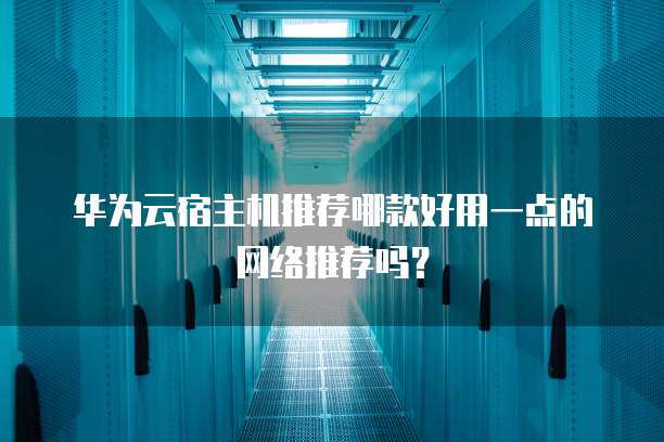 华为云宿主机推荐哪款好用一点的网络推荐吗?