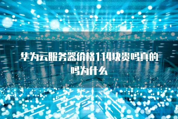 华为云服务器价格114块贵吗真的吗为什么