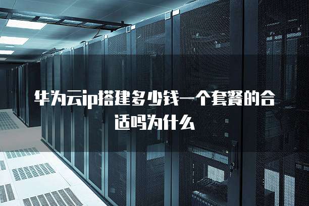华为云ip搭建多少钱一个套餐的合适吗为什么