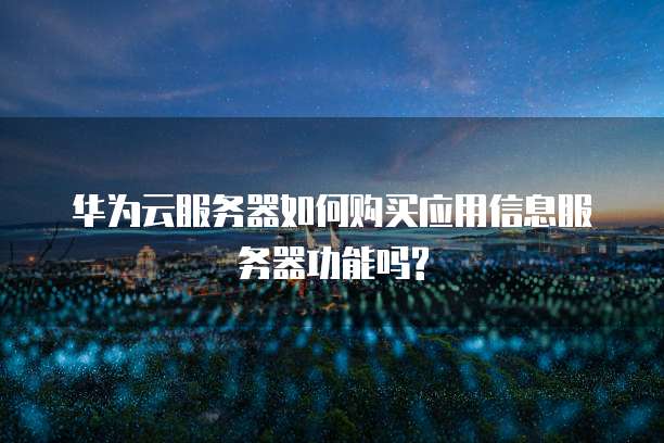 华为云服务器如何购买应用信息服务器功能吗?
