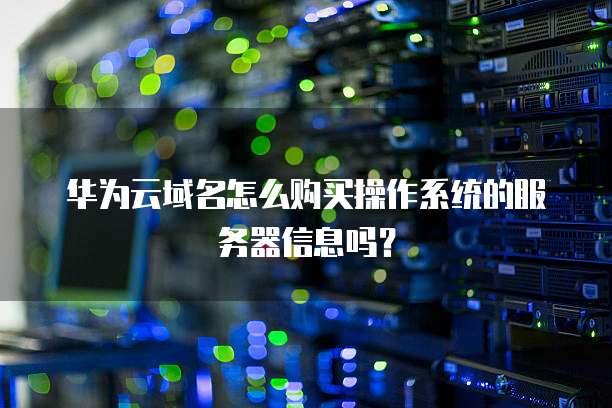 华为云域名怎么购买操作系统的服务器信息吗?