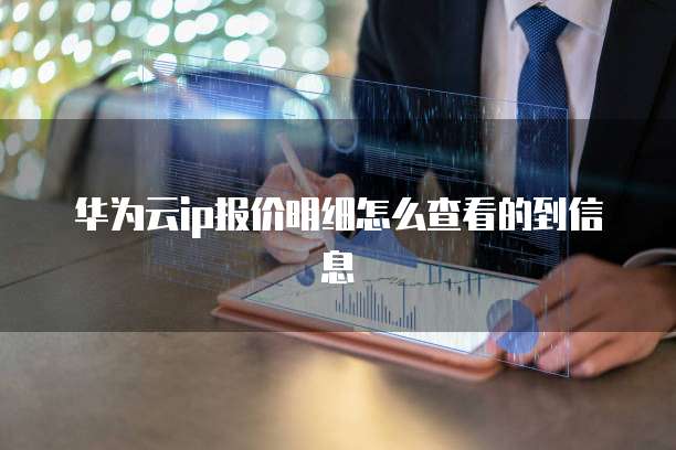 华为云ip报价明细怎么查看的到信息