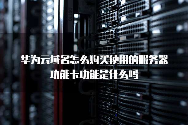 华为云域名怎么购买使用的服务器功能卡功能是什么吗