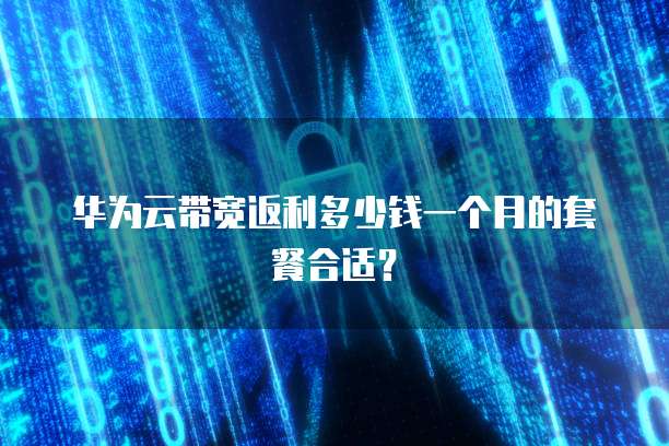 华为云带宽返利多少钱一个月的套餐合适?