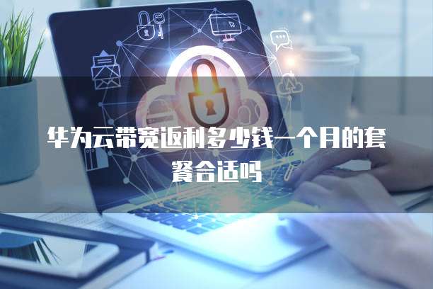 华为云带宽返利多少钱一个月的套餐合适吗