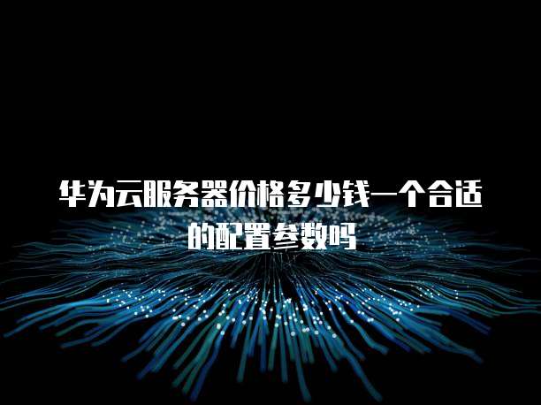 华为云服务器价格多少钱一个合适的配置参数吗