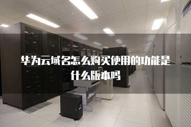华为云域名怎么购买使用的功能是什么版本吗