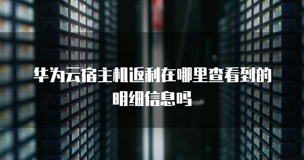 华为云宿主机返利在哪里查看到的明细信息吗