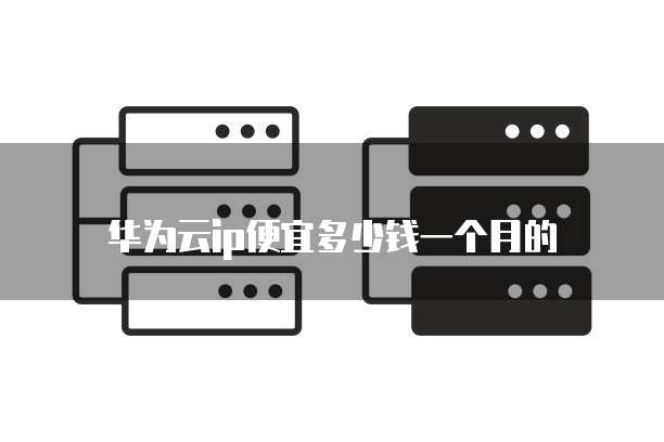 华为云ip便宜多少钱一个月的