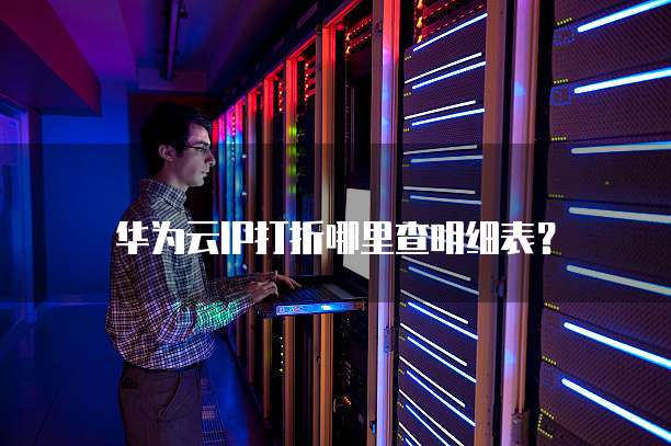 华为云IP打折哪里查明细表?