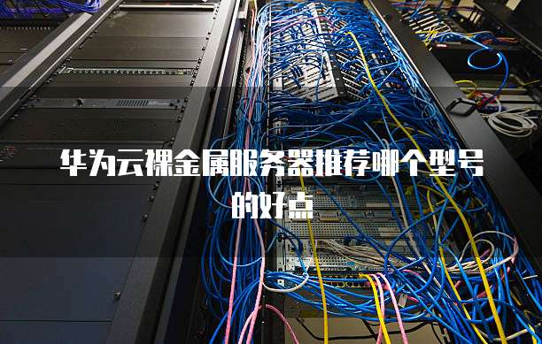 华为云裸金属服务器推荐哪个型号的好点