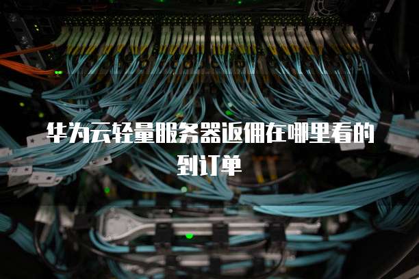 华为云轻量服务器返佣在哪里看的到订单