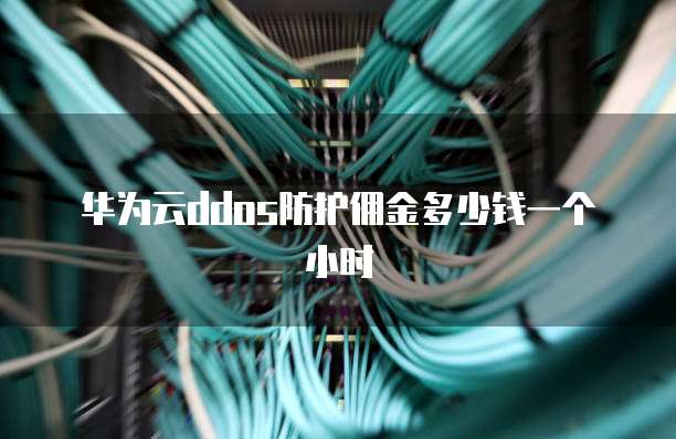 华为云ddos防护佣金多少钱一个小时