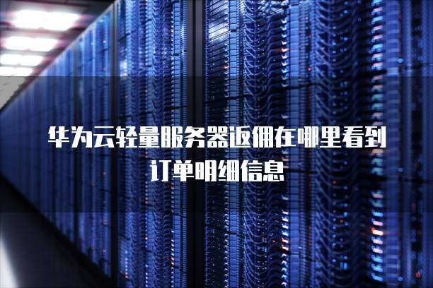华为云轻量服务器返佣在哪里看到订单明细信息