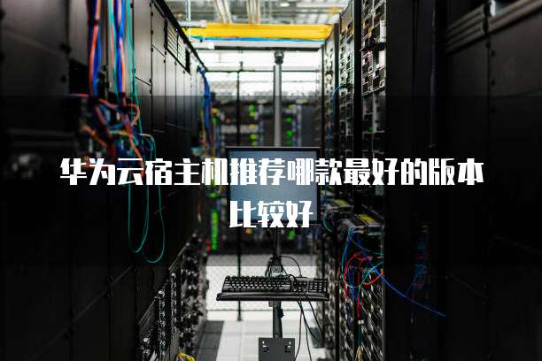 华为云宿主机推荐哪款最好的版本比较好
