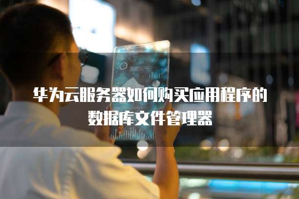 华为云服务器如何购买应用程序的数据库文件管理器