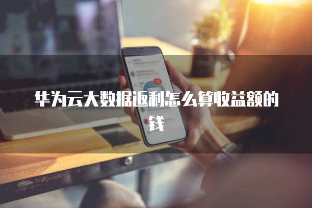 华为云大数据返利怎么算收益额的钱