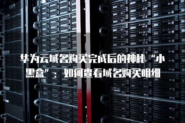 华为云域名购买完成后的神秘“小黑盒”:如何查看域名购买明细