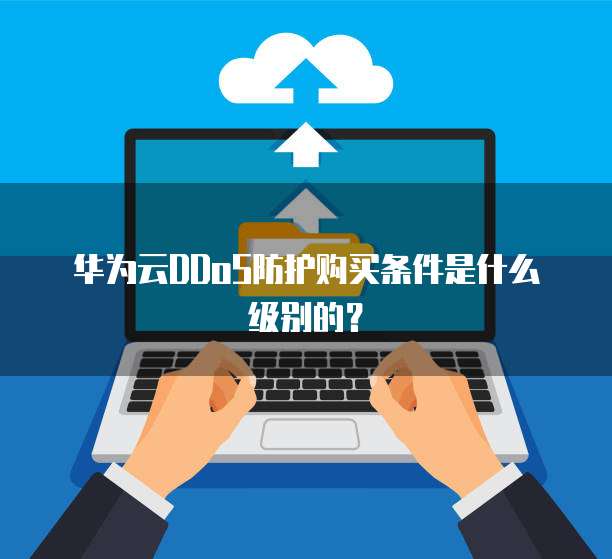 华为云DDoS防护购买条件是什么级别的？