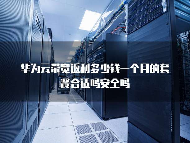 华为云带宽返利多少钱一个月的套餐合适吗安全吗