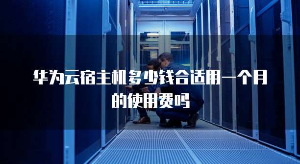 华为云宿主机多少钱合适用一个月的使用费吗