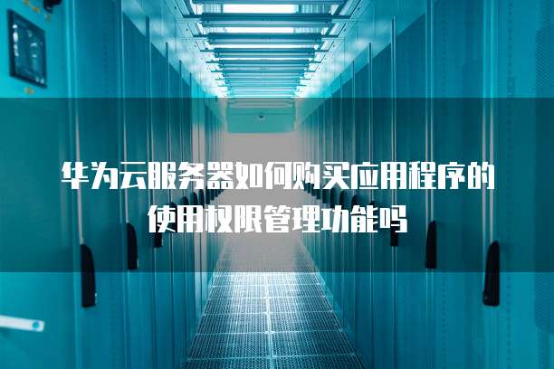 华为云服务器如何购买应用程序的使用权限管理功能吗