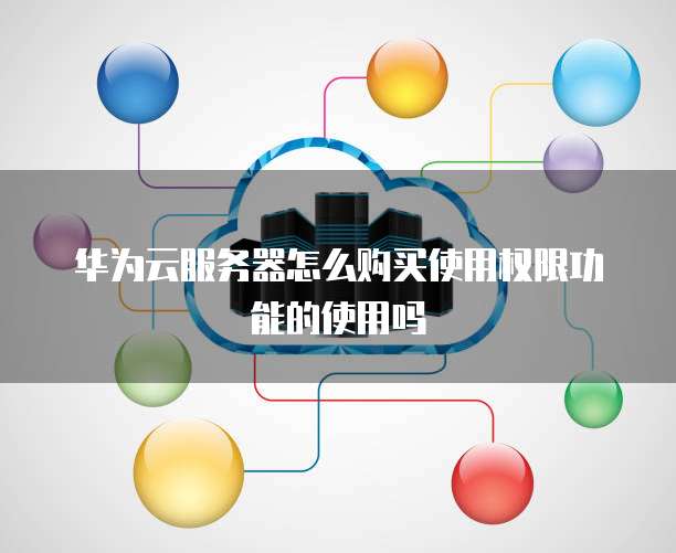华为云服务器怎么购买使用权限功能的使用吗