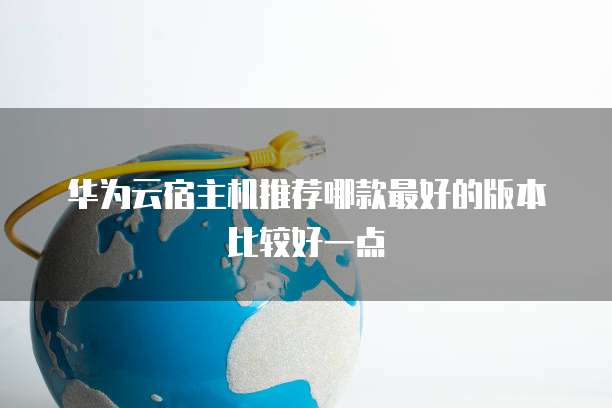 华为云宿主机推荐哪款最好的版本比较好一点