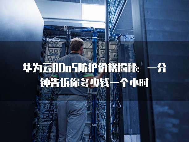 华为云DDoS防护价格揭秘:一分钟告诉你多少钱一个小时