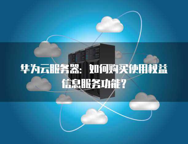 华为云服务器：如何购买使用权益信息服务功能？