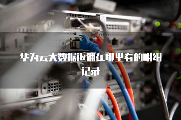 华为云大数据返佣在哪里看的明细记录
