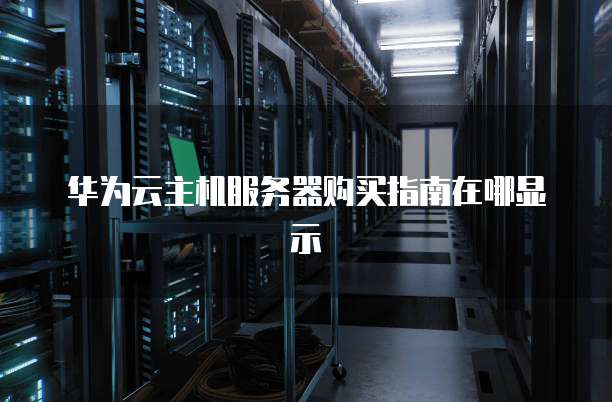 华为云主机服务器购买指南在哪显示