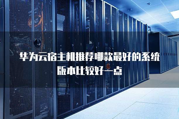 华为云宿主机推荐哪款最好的系统版本比较好一点