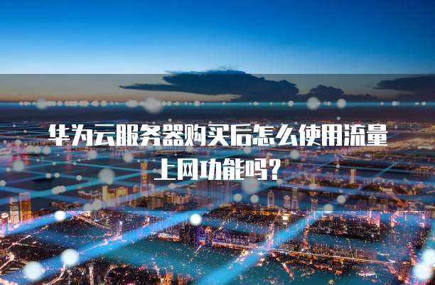 华为云服务器购买后怎么使用流量上网功能吗?
